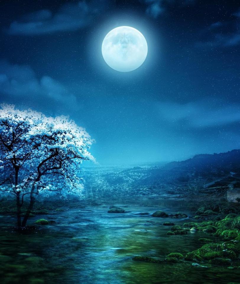 Красивые картинки Арт Природа ночь луна