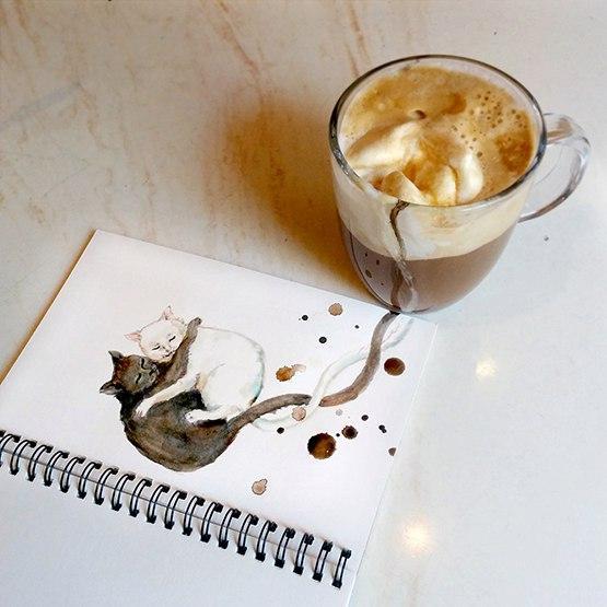 Фото кофейные коты Красивые картинки рисунок кофе