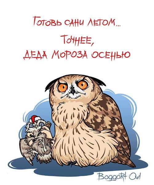 рисунок Прикольные картинки Boggart Owl